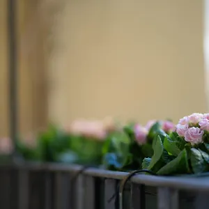 Pgrhome Croce , Roma Italia